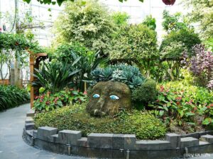 Daejeon Hanbat Arboretum (3)