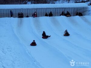 청양 알프스마을 사진