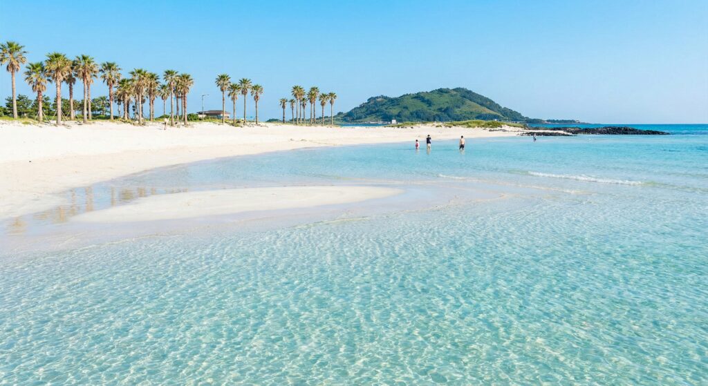 함덕 해수욕장