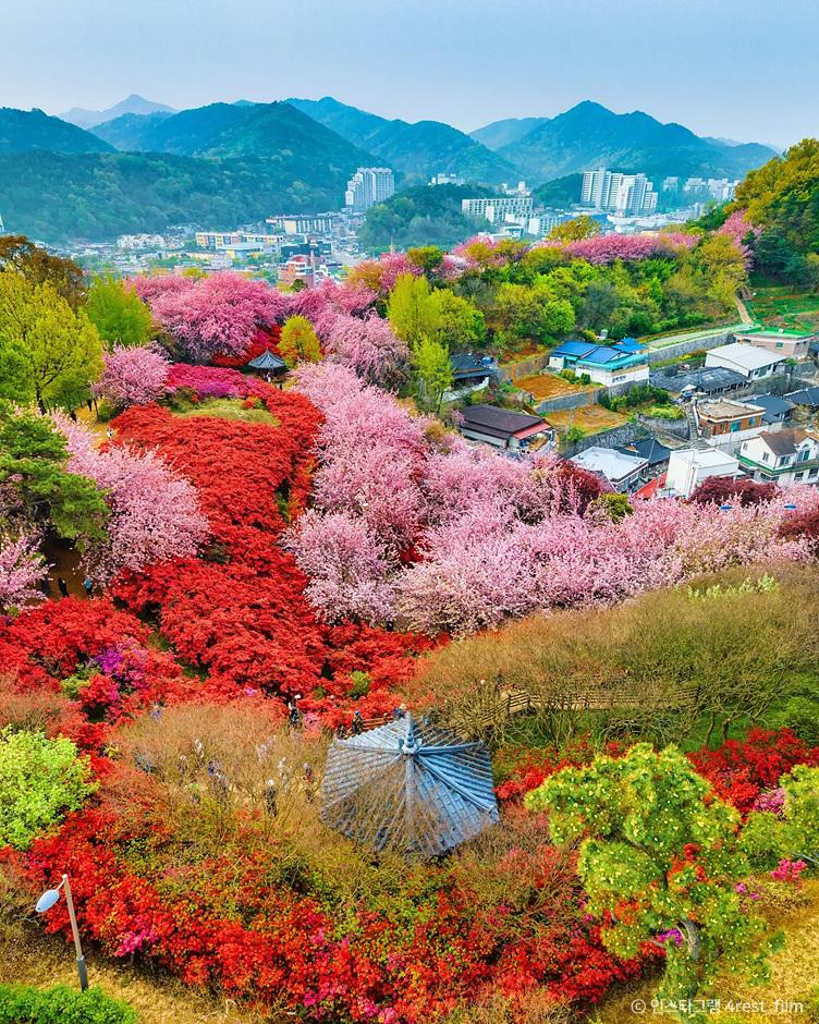 전주 완산칠봉꽃동산