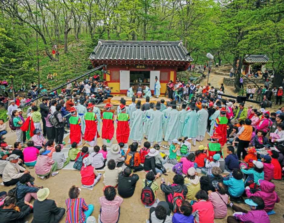 강릉 여행 축제
