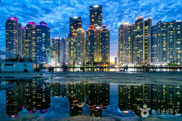 Busan Night View