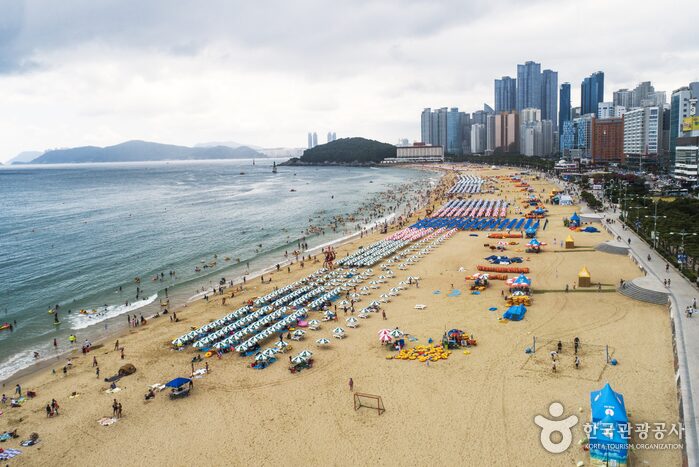 Best Beaches in Korea