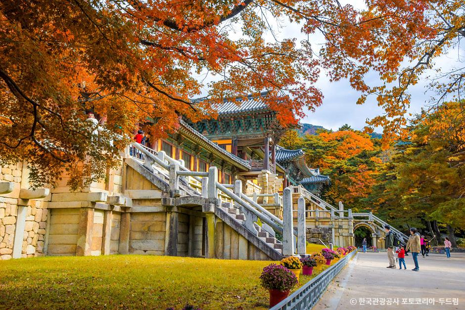 경주 단풍 여행