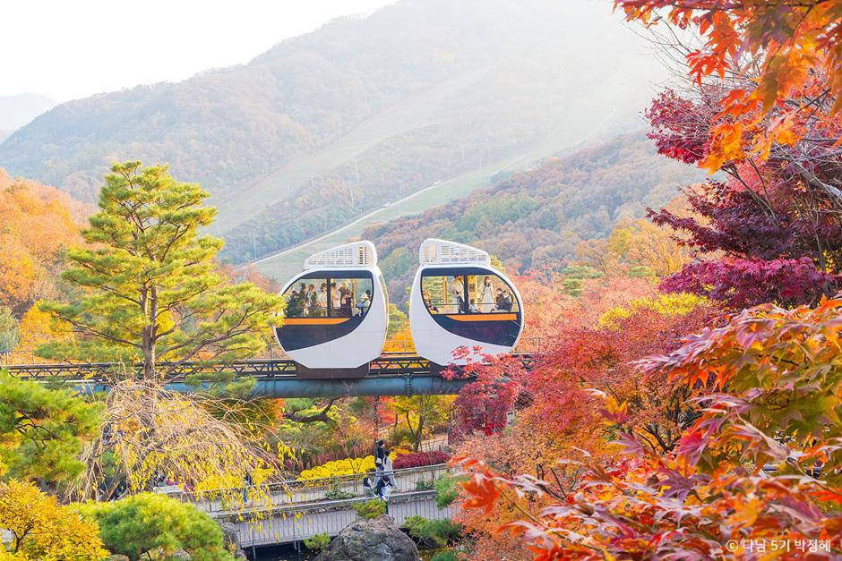 화담숲 단풍 시기