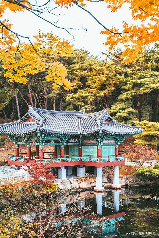경상도 은행나무 명소