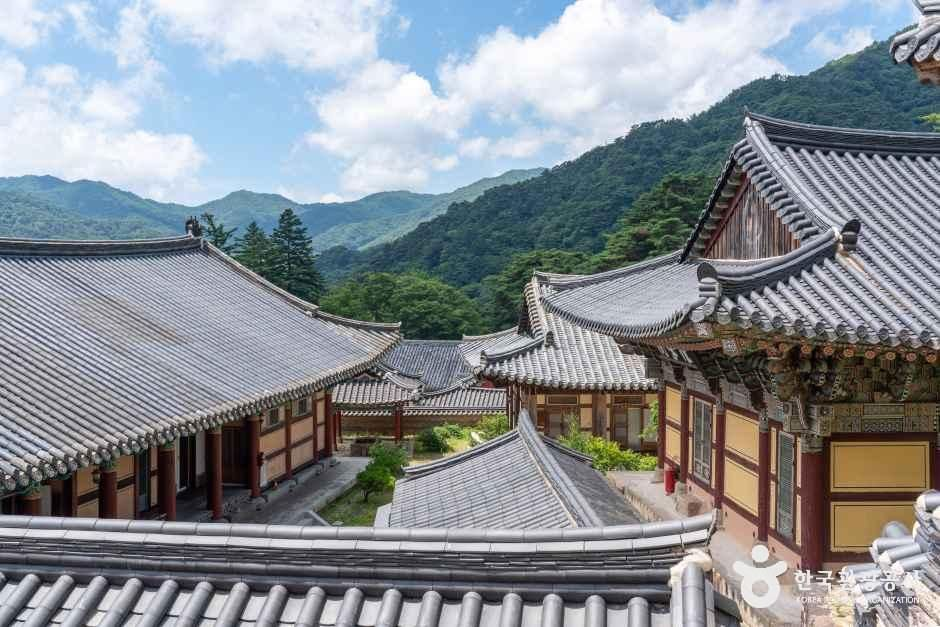 해인사 템플스테이